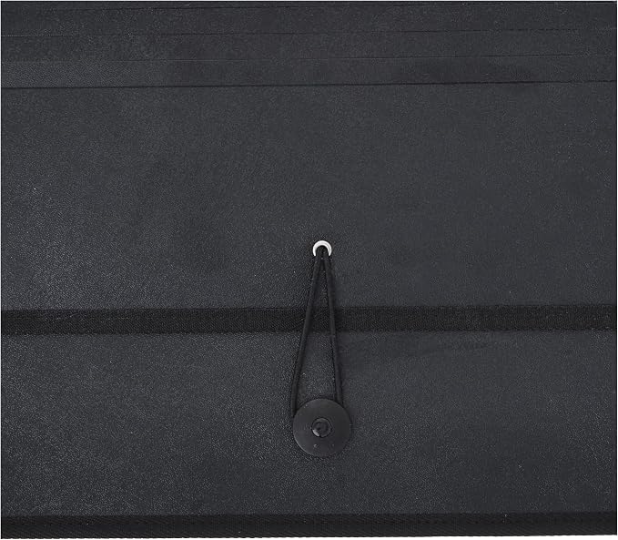 Lion Expand-N-File Poly Expanding Wallet, Legal (9-1/2 x 15 Inches), 2-1/2 Inches Gusset, Black, 1 Wallet (48150-BK)