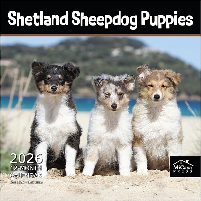MICASA PRESS Shetland Sheepdog Puppies 2026 Wall Calendar 12 Month | 12" x 24" Open | Thick & Sturdy Paper | Giftable | Cute Sheltie Puppy Dog Calendar 2026
