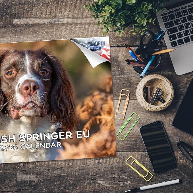2025 2026 English Springer EU Calendar - Dog Breed Monthly Wall Calendar - 12" x 18" Open - Thick No-Bleed Paper - Giftable - Academic Teacher's Planner Calendar Organizing & Planning - Made in USA