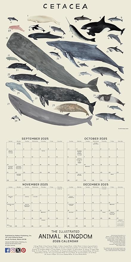 The Illustrated Animal Kingdom 2026 Wall Calendar, 12-Month Animal Art & Nature Calendar by Kelsey Oseid, 12" x 12", Large Grids for Home or Office