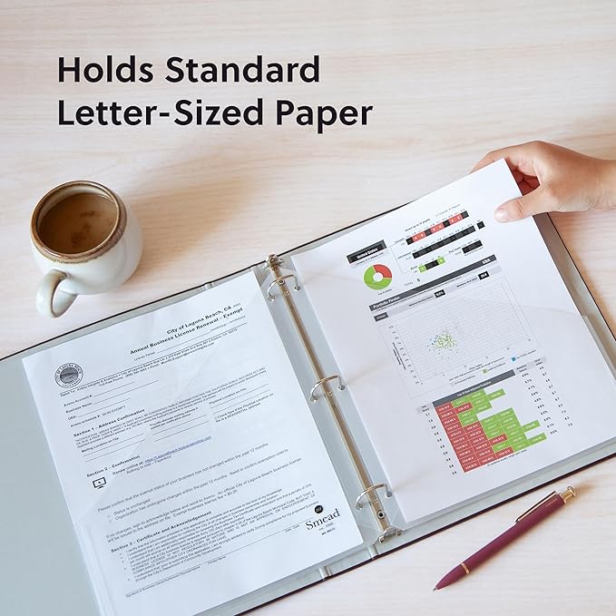 Smead Organized Up Poly Translucent Slash File Jacket, Three-Hole Punched, Letter Size, Clear, 10 Count