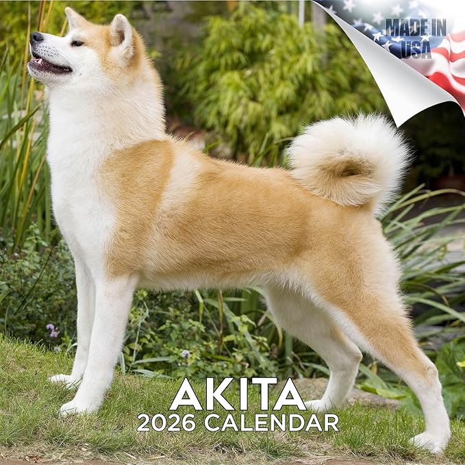Akita Calendar 2026 by MegaCalendars – Monthly Dog Breed Wall Calendar, Made in USA