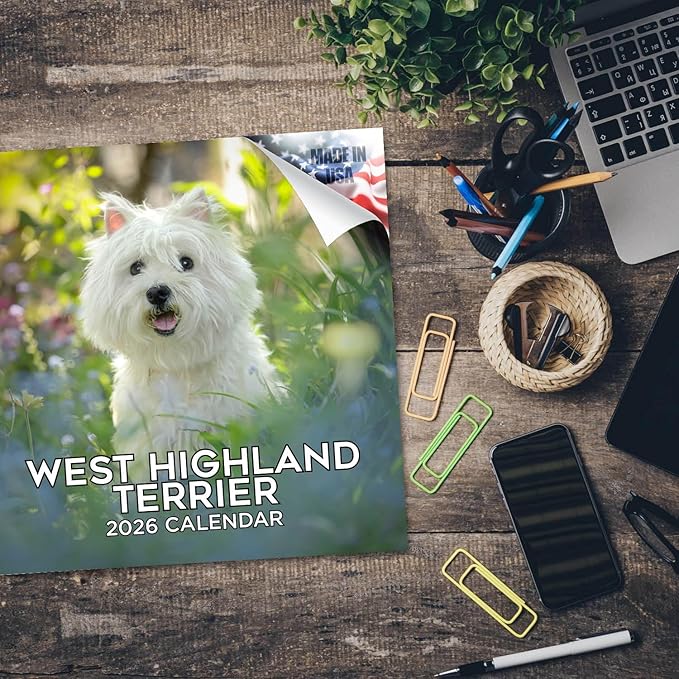 West Highland Terrier Calendar 2026 by MegaCalendars – Monthly Dog Breed Wall Calendar, Made in USA