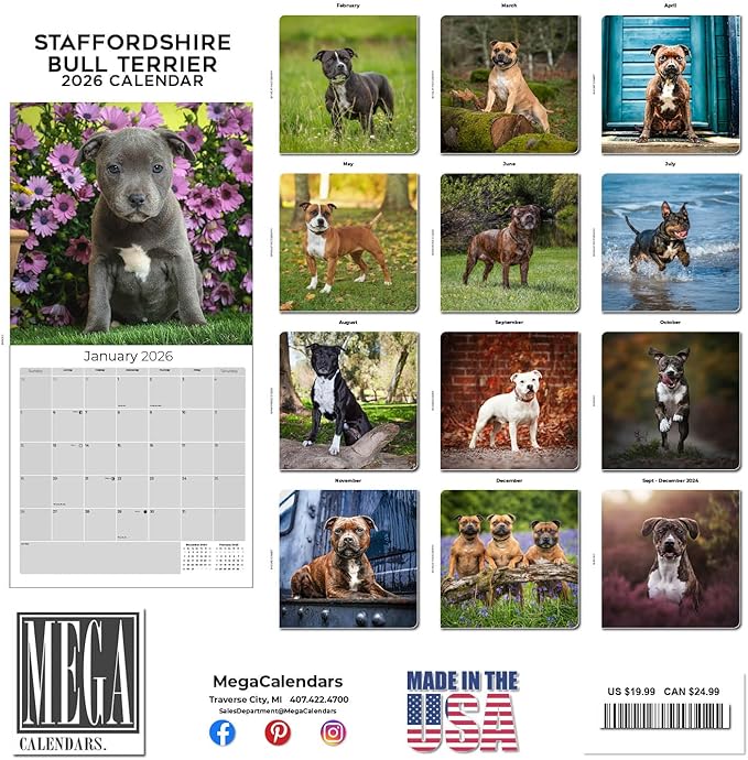 Staffordshire Bull Terrier Calendar 2026 by MegaCalendars – Monthly Dog Breed Wall Calendar, Made in USA