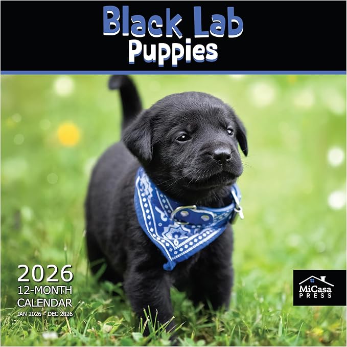 MICASA PRESS Black Lab Puppies 2026 Wall Calendar 12 Month | 12" x 24" Open | Thick & Sturdy Paper | Giftable | Cute Labrador Retriever Puppy Dog Calendar 2026