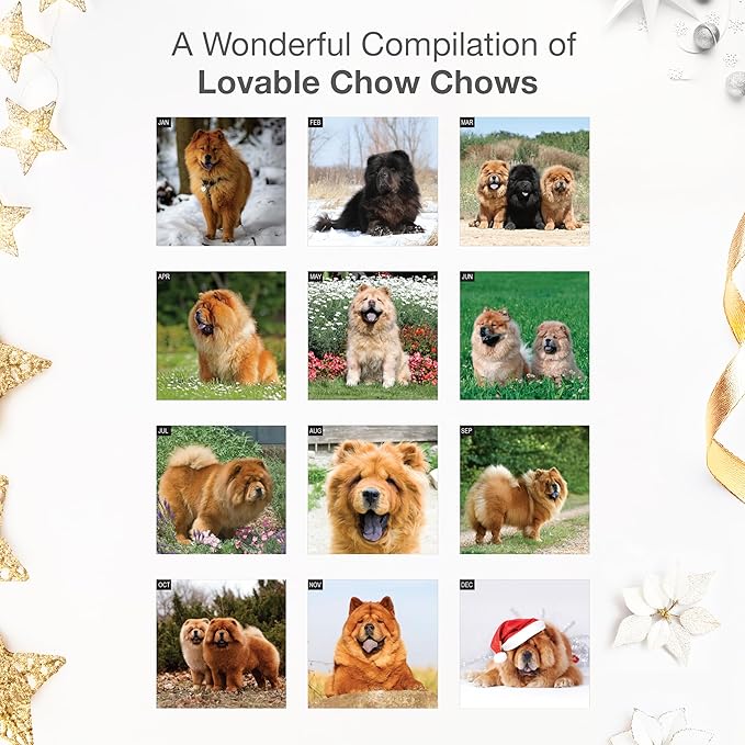 RED EMBER Chow Chows 2026 Wall Calendar 12 Month | 12" x 24" Open | Thick & Sturdy Paper |Giftable | Cute Puppy Dog Calendar 2026