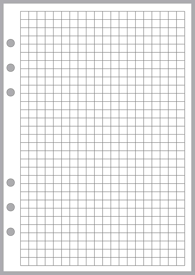 A5 Size Graph Paper Refill, Sized and Punched 6-Ring A5 Notebooks by Filofax, LV (GM), Kikki K, TMI, and Others. Sheet Size 5.83" x 8.27" (148mm x 210mm)
