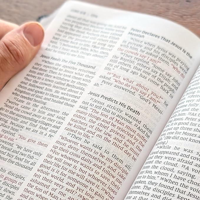 Farm and Posh Personalized NIV Personal Bible with Crown of Thorns | Large Print (Black Lion Side Profile)