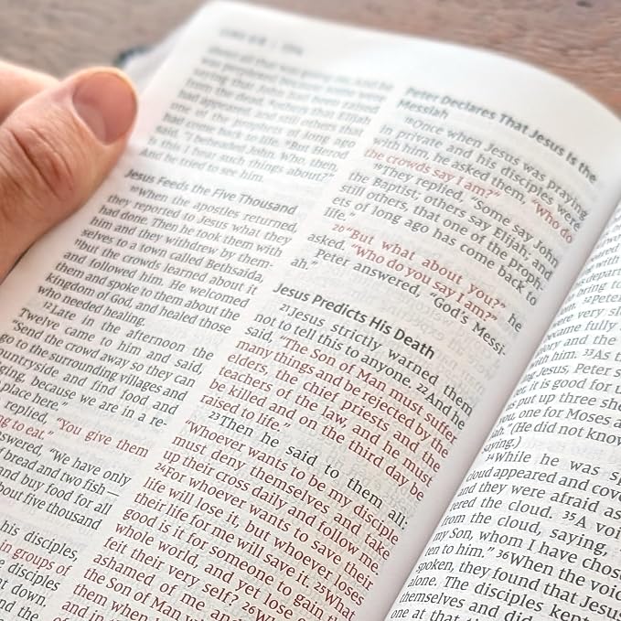 Farm and Posh Personalized NIV Personal Bible with Crown of Thorns | Large Print (Black Knight Standing Solo)