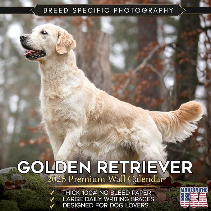 Golden Retriever Calendar 2026 – 16-Month Dog Breed Wall Calendar by MegaCalendars – Large Daily Blocks, Thick No-Bleed Paper, Made in USA