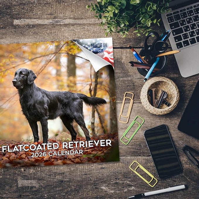 Flatcoated Retriever Calendar 2026 by MegaCalendars – Monthly Dog Breed Wall Calendar, Made in USA