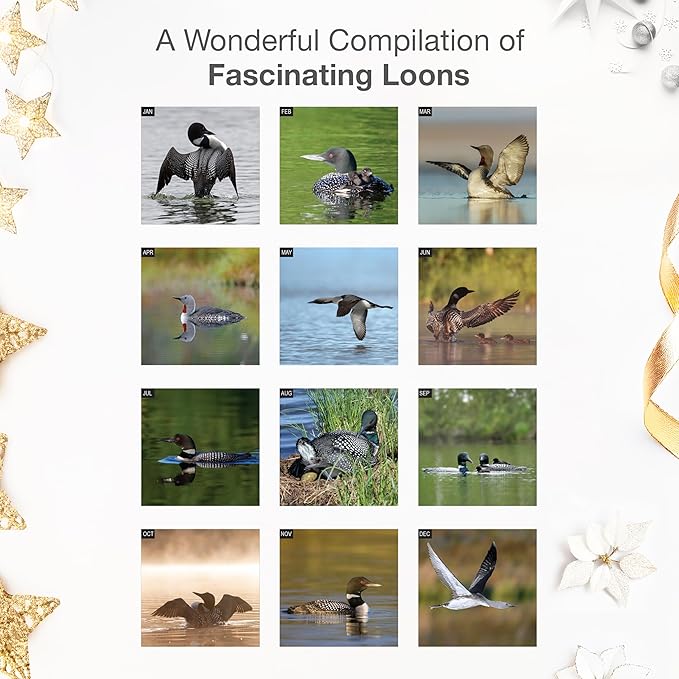 RED EMBER Loons 2026 Wall Calendar 12 Month | 12" x 24" Open | Thick & Sturdy Paper | Giftable | Bird Calendar 2026