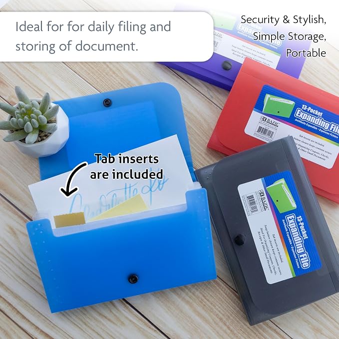 BAZIC Products 13-Pocket Expanding File, Coupon/Check Size, Accordion Poly Body, for School Office Documents, Set of 6