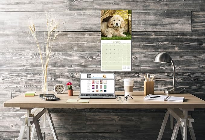 Golden Retriever Puppies Calendar 2026 – 16-Month Dog Breed Wall Calendar by MegaCalendars – Large Daily Blocks, Thick No-Bleed Paper, Made in USA