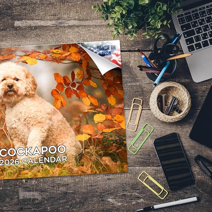 2025 2026 Cockapoo Calendar - Dog Breed Monthly Wall Calendar - 12" x 18" Open - Thick No-Bleed Paper - Giftable - Academic Teacher's Planner Calendar Organizing & Planning - Made in USA