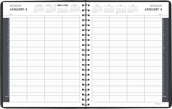 AT-A-GLANCE 2027 Appointment Book Planner, Daily Group Planner, 8.5" x 11", Eight Person, Two-Volume Set Jan-Jun & Jul-Dec, Black (7021205-27)