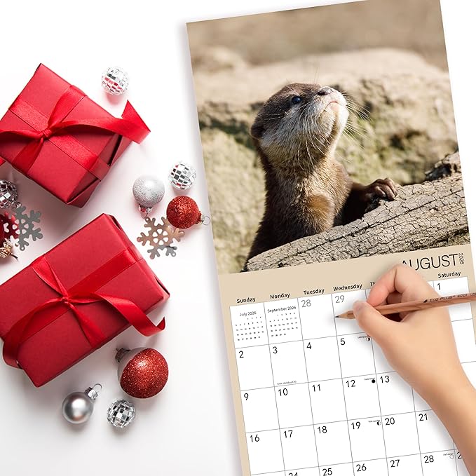 2026 Wall Calendar,Lutra Lutra Monthly Wall Calendar, 12" x 24" Open,Family Planner Calendar Organizer with funny Lutra Lutra Images