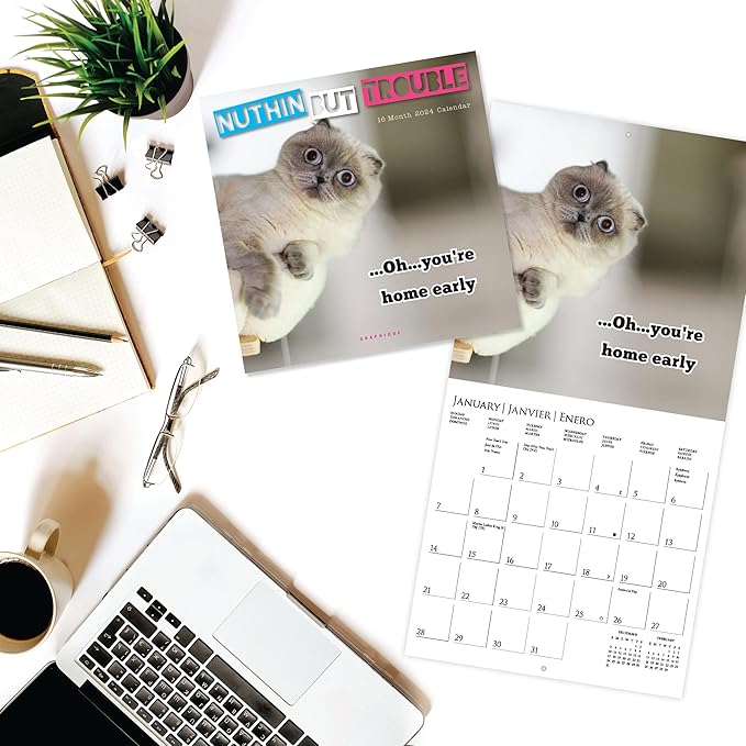 Graphique 2024 Nuthin' But Trouble Mini Wall Calendar | 7” x 7” | Thick Paper | Home & Office Organizer | Large Monthly Grid | 3 Languages & Marked Holidays | 4 Month Preview Page for 2025