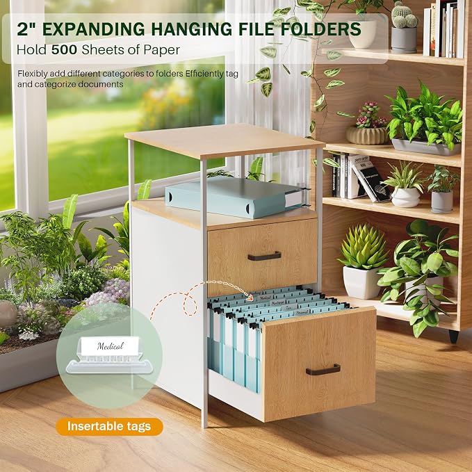 12 Pack Hanging File Folders, Blue Hanging File Folders, Plastic File Folder Hanging with Tabs, Filing Cabinet Folders Organizer Letter Size Paper Storage - Home Schoool Office Supplies