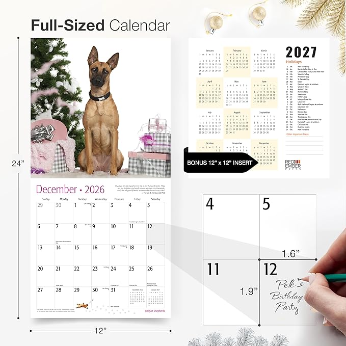 RED EMBER Belgian Shepherds 2026 Wall Calendar 12 Month | 12" x 24" Open | Thick & Sturdy Paper | Giftable | Cute Puppy Dog Calendar 2026