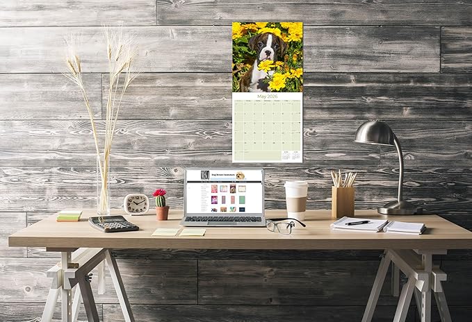 Boxer Puppies Calendar 2026 – 16-Month Dog Breed Wall Calendar by MegaCalendars – Large Daily Blocks, Thick No-Bleed Paper, Made in USA