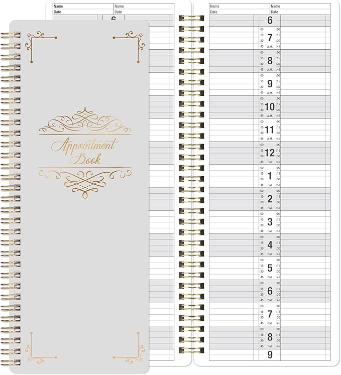 Appointment Book – Undated Salon Appointment Book, 2 Column, 11.5" x 4.7", Daily/HourlyPlanner with 200 Pages, 6 AM - 9 PM, 15 Minute Intervals Day Planner, Twin-Wire Binding, Hardcover - Gray