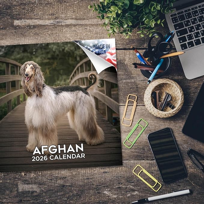 Afghan Hound Calendar 2026 - Monthly Dog Breed Wall Calendar, 12x24 Open, Thick No-Bleed Paper, Made in USA by MegaCalendars