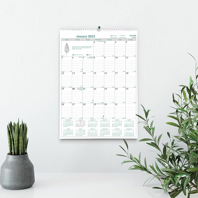 Brownline® 2025 EcoLogix® Monthly Wall Calendar, 12 Months, January to December, Twin-Wire Binding, 12" x 17", Recycled (C171103-25)