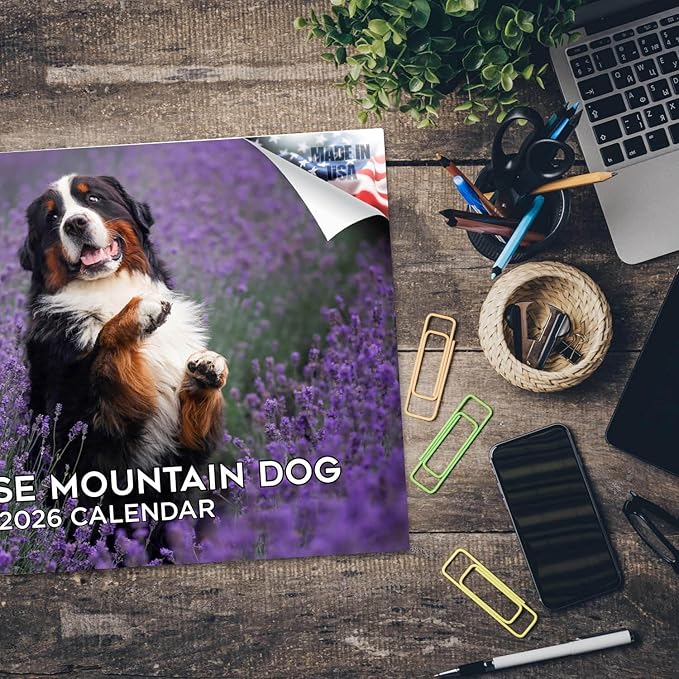 2025 2026 Bernese Mountain Dog Calendar - Dog Breed Monthly Wall Calendar - 12" x 18" Open - Thick No-Bleed Paper - Giftable - Academic Teacher's Planner Calendar Organizing & Planning - Made in USA