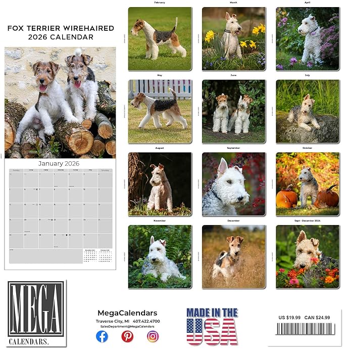 Fox Terrier Wirehaired Calendar 2026 by MegaCalendars – Monthly Dog Breed Wall Calendar, Made in USA