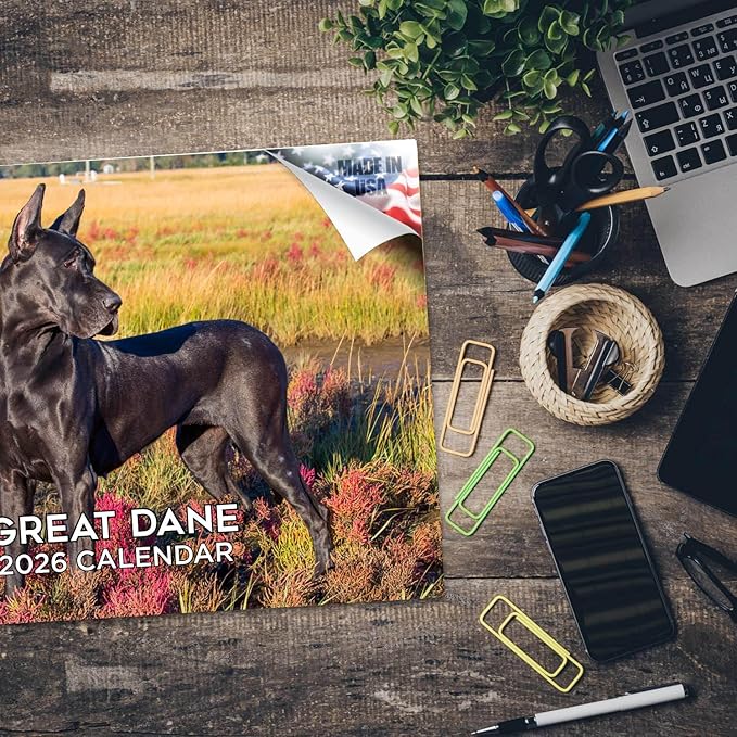 2025 2026 Great Dane Calendar - Dog Breed Monthly Wall Calendar - 12" x 18" Open - Thick No-Bleed Paper - Giftable - Academic Teacher's Planner Calendar Organizing & Planning - Made in USA