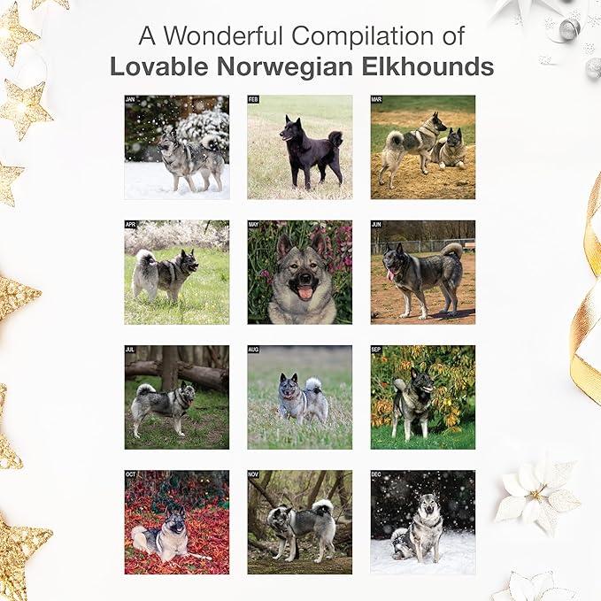 RED EMBER Norwegian Elkhounds 2026 Wall Calendar 12 Month | 12" x 24" Open | Thick & Sturdy Paper | Giftable | Cute Puppy Dog Calendar 2026
