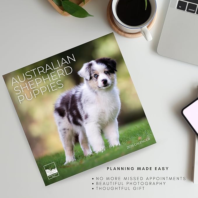Australian Shepherd Puppy 2026 Wall Calendar | 12" x 24" Open | Dog Photography Thick & Sturdy Paper for Planning | Office Kitchen Decor or Gift | Pacific Waters Press (Australian Shepherd Puppies)