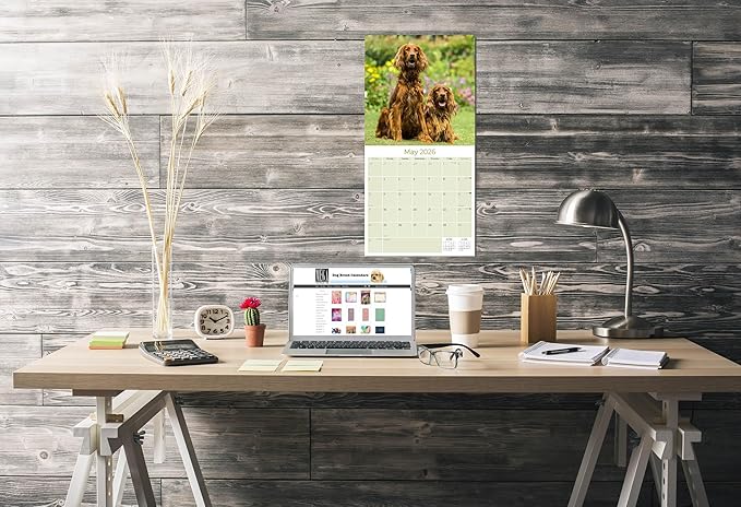 Irish Setter Calendar 2026 by MegaCalendars – Monthly Dog Breed Wall Calendar, Made in USA