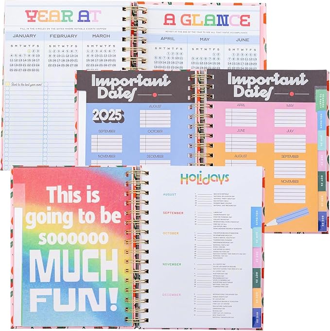 ban.do 17-Month Medium Daily and Weekly Planner August 2025 - December 2026, Hard Cover Spiral Agenda with Monthly Calendar, Stickers, Art & Bonus Pages (Mid Century)