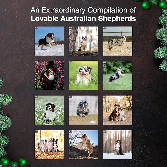 MICASA PRESS Australian Shepherds Aussies 2026 Wall Calendar 12 Month | 12" x 24" Open | Thick & Sturdy Paper | Giftable | Cute Puppy Dog Calendar 2026