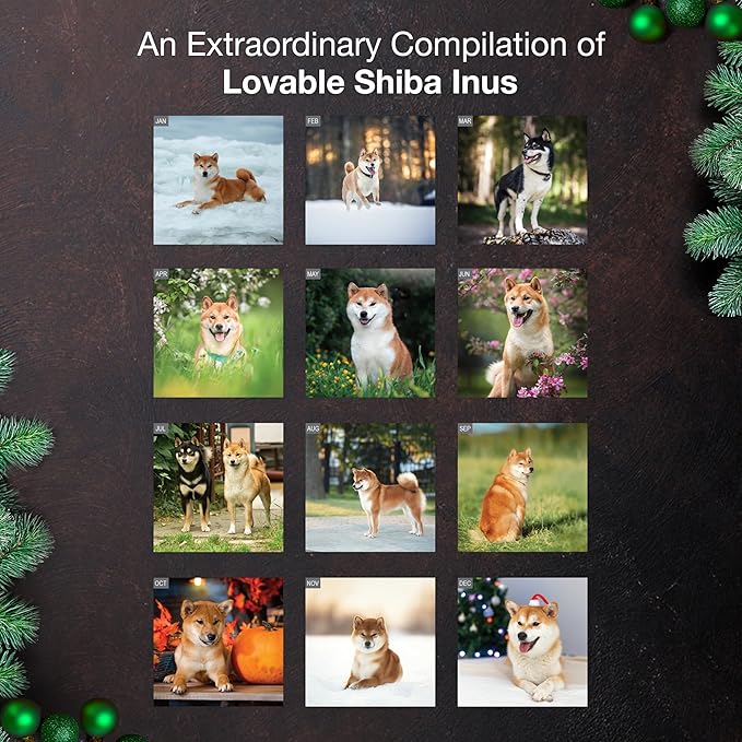 MICASA PRESS Shiba Inus 2026 Wall Calendar 12 Month | 12" x 24" Open | Thick & Sturdy Paper | Giftable | Cute Puppy Dog Calendar 2026