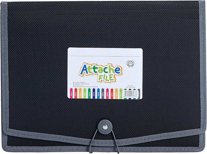 FANWU 4 Pack Plastic Expanding File Wallet Document Organizer with Elastic Cord & Button Closure, Letter Size, 3.5" Expansion, Poly A4 Expandable File Folder for School Office & Home Organization