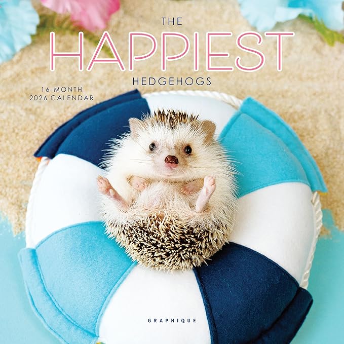 Graphique 2026 Happiest Hedgehogs Mini Wall Calendar | 7” x 7” | Thick Paper | Home & Office Organizer | Large Monthly Grid | 3 Languages & Marked Holidays | 4 Month Preview Page for 2027
