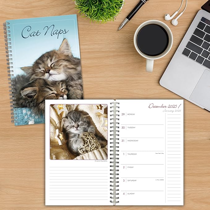 Cat Naps 2026 Weekly & Monthly Planner, 12-Month Engagement Calendar: 2026