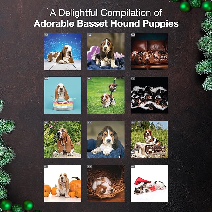 MICASA PRESS Basset Hound Puppies 2026 Wall Calendar 12 Month | 12" x 24" Open | Thick & Sturdy Paper | Giftable | Cute Puppy Dog Calendar 2026