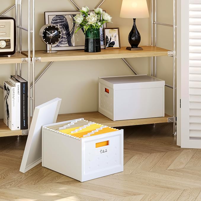 Seseno File Organizer File Box with Lid, Universal Hanging File Organizer, Letter/Legal Size File Folder Box, 2 Pack Plastic Office Document Filing Storage Bin