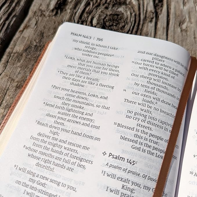 Farm and Posh Personalized NIV Personal Bible with Crown of Thorns | Large Print (Brown Lion Side Profile)