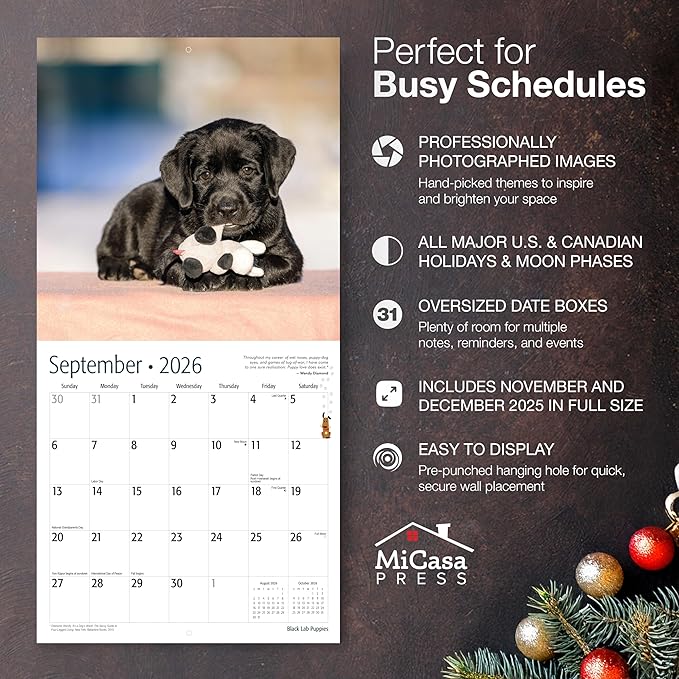 MICASA PRESS Black Lab Puppies 2026 Wall Calendar 12 Month | 12" x 24" Open | Thick & Sturdy Paper | Giftable | Cute Labrador Retriever Puppy Dog Calendar 2026