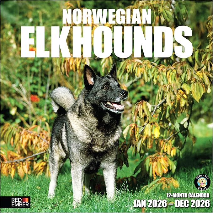 RED EMBER Norwegian Elkhounds 2026 Wall Calendar 12 Month | 12" x 24" Open | Thick & Sturdy Paper | Giftable | Cute Puppy Dog Calendar 2026