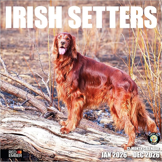RED EMBER Irish Setters 2026 Wall Calendar 12 Month | 12" x 24" Open | Thick & Sturdy Paper | Giftable | Cute Puppy Dog Calendar 2026