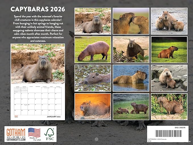 Capybara Calendar 2026 Monthly Wall Calender 12 Month | American Made In The USA