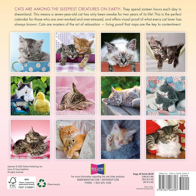 Cat Naps 2026 Mini Wall Calendar, Cute & Funny Cat Photography, 7" x 7"