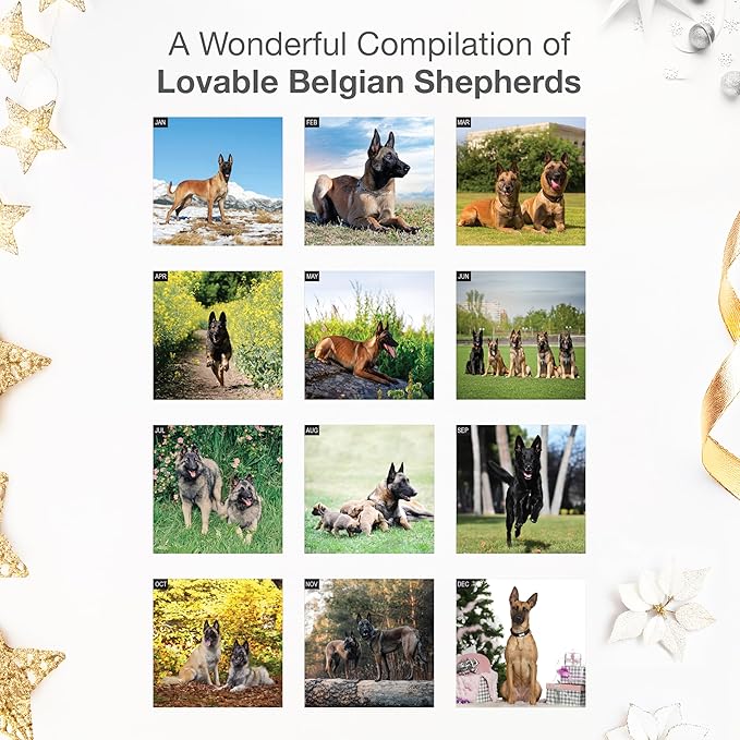 RED EMBER Belgian Shepherds 2026 Wall Calendar 12 Month | 12" x 24" Open | Thick & Sturdy Paper | Giftable | Cute Puppy Dog Calendar 2026