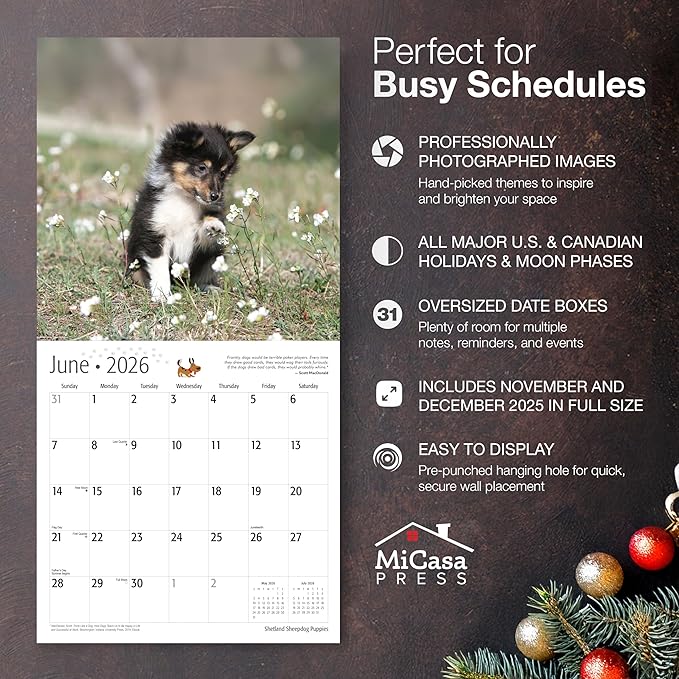 MICASA PRESS Shetland Sheepdog Puppies 2026 Wall Calendar 12 Month | 12" x 24" Open | Thick & Sturdy Paper | Giftable | Cute Sheltie Puppy Dog Calendar 2026